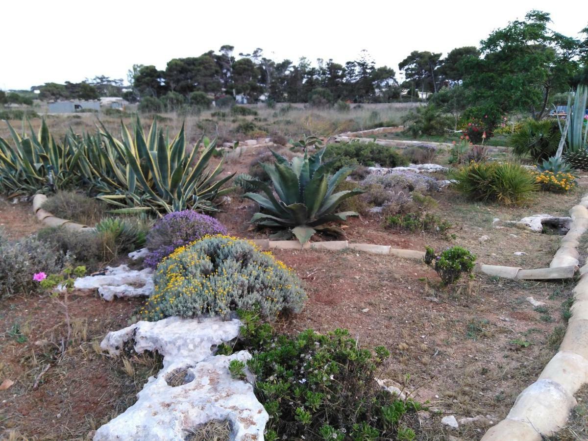 la casetta di tufo Appartamento Favignana Esterno foto